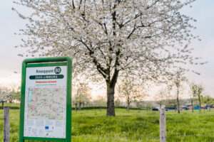 SR-Buitengewoon Libeek LR-4