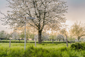 SR-Buitengewoon Libeek LR-5