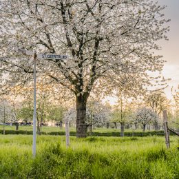 SR-Buitengewoon Libeek HR-5